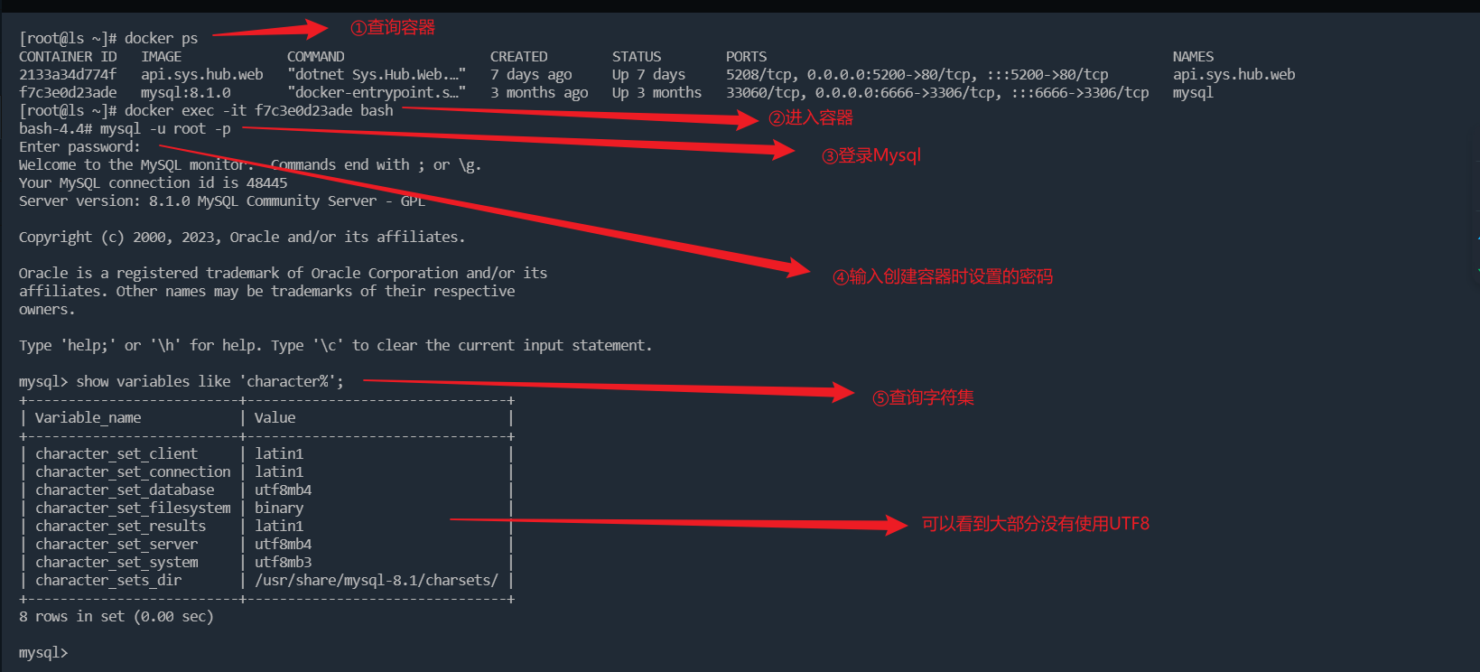 Docker 安装mysql 