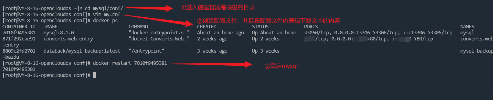 Docker 安装mysql 